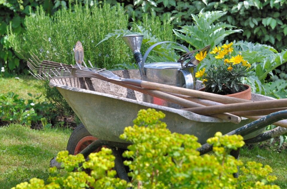 Co można zaliczyć do usług ogrodniczych?